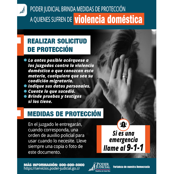 Infografía: medidas de protección por violencia doméstica