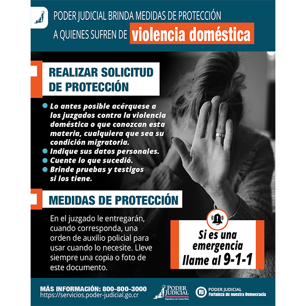 Infografía: medidas de protección por violencia doméstica