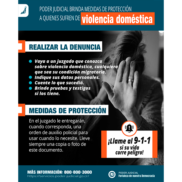 Infografía: medidas de protección por violencia doméstica