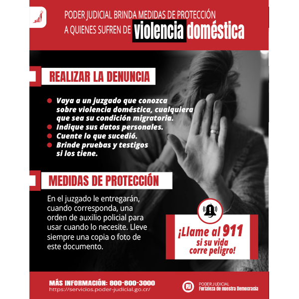 Infografía: medidas de protección por violencia doméstica
